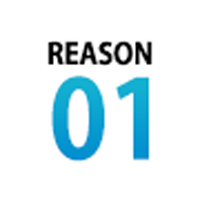 reason01