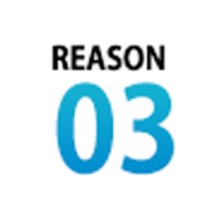 reason03